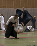 2012_pankova_01044.jpg