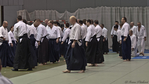 2012_pankova_01158.jpg