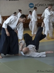2012_pankova_02691.jpg