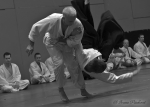 2012_pankova_aikido-08581.jpg