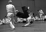 Název souboru=2012_pankova_aikido-08603.jpg
Velikost souboru=128KB
Rozměry=800x572
Datum přidání=12. Březen 2013 2012_pankova_aikido-08603.jpg