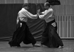 2012_pankova_aikido-08695.jpg