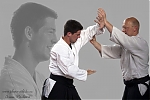 2013_pankova-aikido-02023_2.jpg