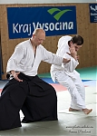 2013_pankova-aikido-02192.jpg