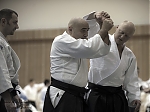 2014_pankova-aikido-00630.jpg