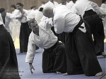 2014_pankova-aikido-00640.jpg