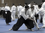 2014_pankova-aikido-00883.jpg