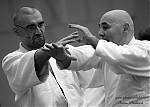 2014_pankova-aikido-01108.jpg