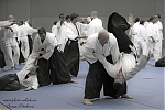 2014_pankova-aikido-01271.jpg