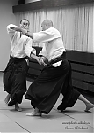 Název souboru=2014_pankova-aikido-01969.jpg
Velikost souboru=118KB
Rozměry=572x800
Datum přidání=04. Červen 2014 2014_pankova-aikido-01969.jpg