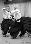 2014_pankova-aikido-01969.jpg