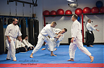 2017_aikido_pankova-00191.jpg