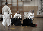 2017_aikido_pankova-00602.jpg