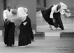 Název souboru=2017_aikido_pankova-00770.jpg
Velikost souboru=112KB
Rozměry=800x571
Datum přidání=15. Srpen 2017 2017_aikido_pankova-00770.jpg
