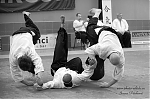 Název souboru=2017_aikido_pankova-00883.jpg
Velikost souboru=144KB
Rozměry=800x533
Datum přidání=15. Srpen 2017 2017_aikido_pankova-00883.jpg