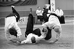 2017_aikido_pankova-00883.jpg