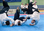 2017_aikido_pankova-00884.jpg