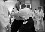 2017_aikido_pankova-01080.jpg