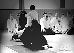 Název souboru=2017_photo-aikido_pankova-01551.jpg
Velikost souboru=111KB
Rozměry=800x572
Datum přidání=15. Září 2017 2017_photo-aikido_pankova-01551.jpg