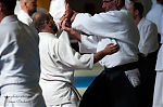 2017_photo-aikido_pankova-01585.jpg