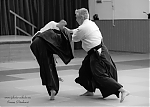 2017_photo-aikido_pankova-01849.jpg