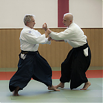 2017_photo-aikido_pankova-01856.jpg