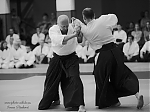 Název souboru=2017_photo-aikido_pankova-01872.jpg
Velikost souboru=126KB
Rozměry=800x600
Datum přidání=15. Září 2017 2017_photo-aikido_pankova-01872.jpg