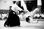 Název souboru=2017_photo-aikido_pankova-01884.jpg
Velikost souboru=113KB
Rozměry=800x533
Datum přidání=15. Září 2017 2017_photo-aikido_pankova-01884.jpg