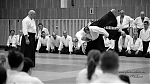 Název souboru=2018_aikido_pankova-01088.jpg
Velikost souboru=118KB
Rozměry=800x450
Datum přidání=30. Leden 2018 2018_aikido_pankova-01088.jpg